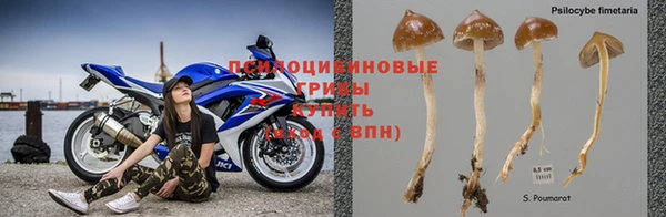 дурь Алексин