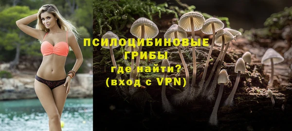дурь Алексин