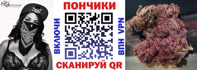 мориарти формула Курлово Канабис ГИДРОПОН